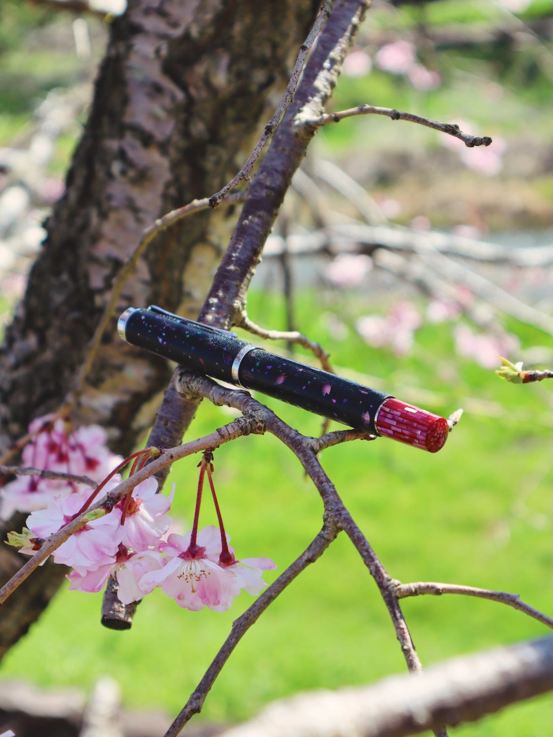Sakura Petals on Ishime-nuri-Pelikan M205-Rose Quartz
